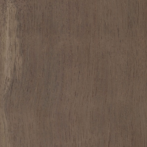 Peruvian Walnut